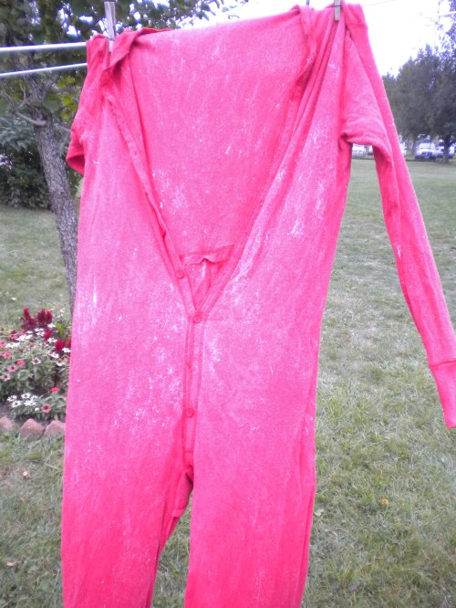 A bright red onesie hanging on a clothesline, with a grassy area and flowers in the background.