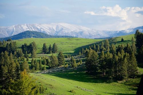 Lush green hills with scattered trees and snow-capped mountains in the background under a partly cloudy sky.