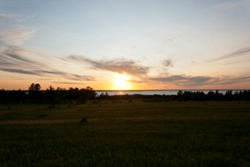 A serene sunset over a grassy field, with soft clouds and a calm body of water in the background.