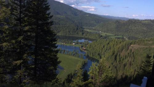 A scenic view of lush green hills and a winding river, surrounded by trees under a clear blue sky.