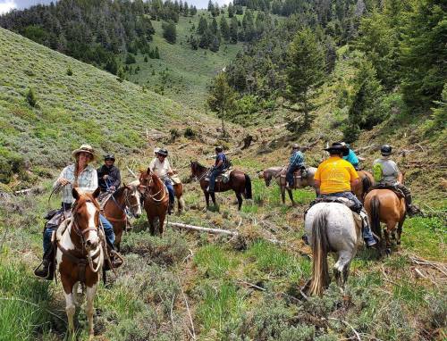 A group of people on horseback in a lush, green mountainous area, surrounded by trees and shrubs.