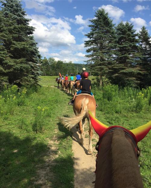A line of horseback riders on a trail surrounded by green trees and blue skies.