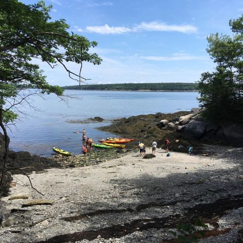 A rocky beach with kayakers and people exploring near the water, surrounded by trees and a clear blue sky.
