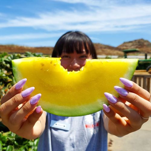 A person holds a slice of yellow watermelon, smiling against a sunny outdoor backdrop.