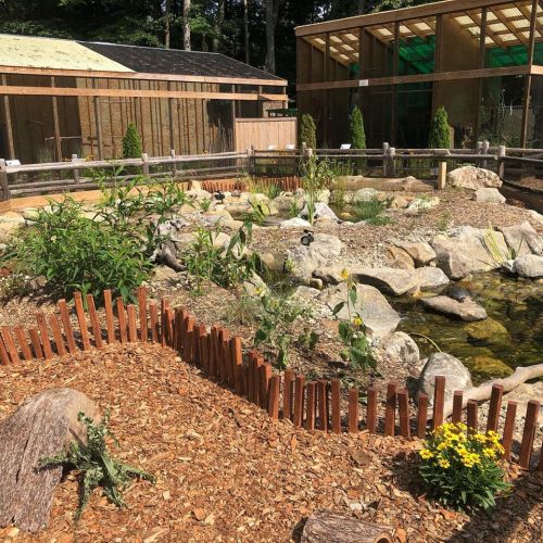 A landscaped area with rocks, plants, and a pond, surrounded by wooden fencing and buildings in a natural setting.