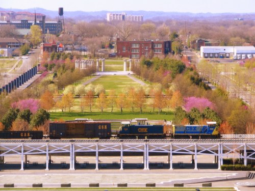 A train travels through a park with blooming trees and a distant city skyline under a clear blue sky.