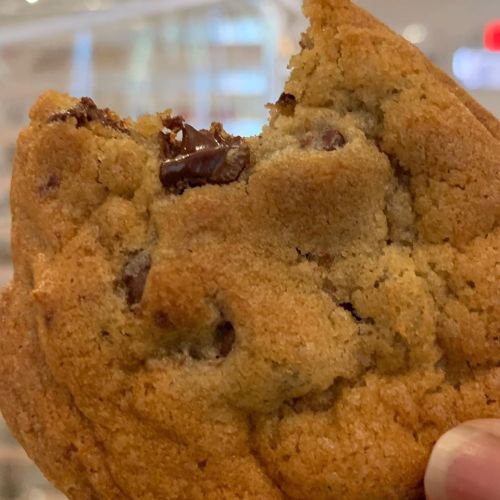 A close-up of a chocolate chip cookie with a bite taken out of it, showing its soft texture and melted chocolate.