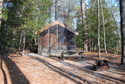 A rustic cabin surrounded by trees, with a picnic table and fire pit in a wooded area.