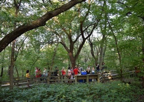 A group of people gather on a wooden deck in a lush, green forest, enjoying a social event amidst the trees.