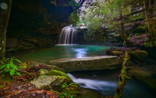 A serene waterfall cascades into a tranquil pool, surrounded by lush greenery and moss-covered rocks.