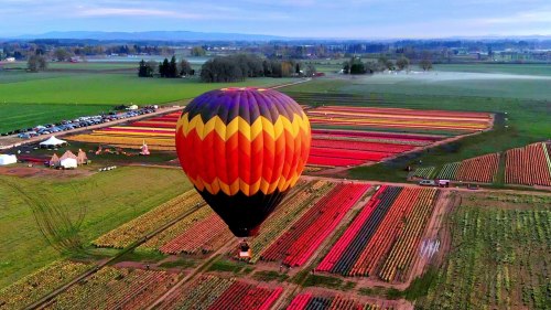 A colorful hot air balloon floats over vibrant flower fields in a scenic landscape.