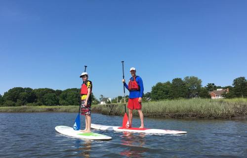 Two people stand on paddleboards in a calm waterway, surrounded by greenery and a clear blue sky.