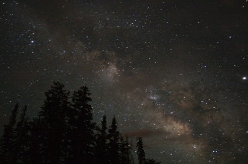 A starry night sky with the Milky Way visible above silhouetted trees.