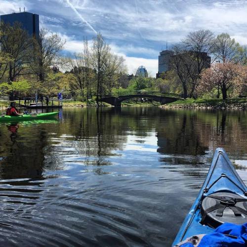 Two kayakers paddle on a calm lake surrounded by trees and city buildings under a blue sky with wispy clouds.