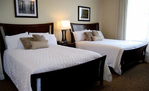 A cozy hotel room featuring two beds with white bedding, a bedside lamp, and framed pictures on the walls.