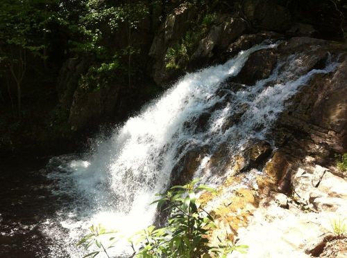 A cascading waterfall flows over rocky terrain, surrounded by lush green foliage.