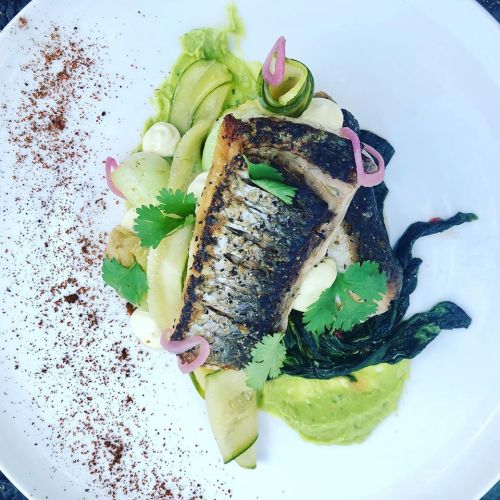 Grilled fish fillet on a bed of greens, garnished with pickled onions, avocado puree, and fresh herbs.