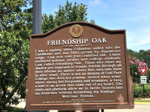 Sign describing Friendship Oak, a historic tree with a message about its significance and welcoming visitors.