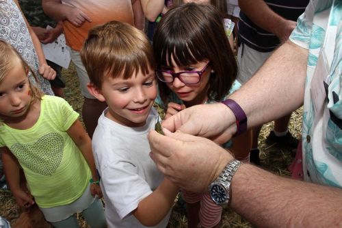 Two children excitedly observe a small creature held in an adult's hand, surrounded by a crowd in a festive setting.