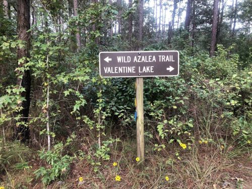 Signpost in a wooded area indicating directions to Wild Azalea Trail and Valentine Lake, surrounded by greenery and flowers.