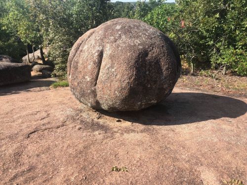 A large, round boulder sits on a rocky surface, surrounded by greenery and trees in the background.