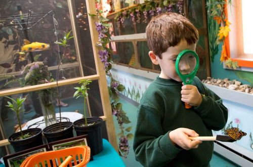 A young boy holds a butterfly on a stick while using a magnifying glass in a colorful indoor garden setting.