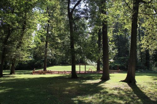A sunny park scene with a wooden play structure surrounded by tall trees and lush green grass.