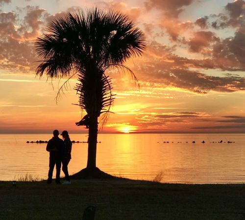 Silhouette of a couple under a palm tree at sunset, with vibrant colors reflecting on the water.