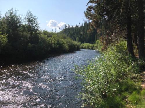 A serene river flows through a lush green landscape, surrounded by trees under a clear blue sky.