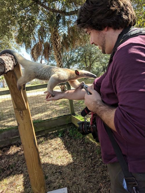 A man interacts with a curious animal reaching out from a wooden post in a natural setting.