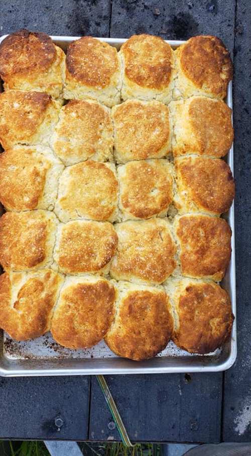 A tray of freshly baked golden-brown biscuits arranged in a grid pattern.