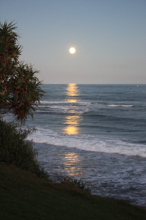 A serene beach scene at dusk, with a full moon reflecting on calm ocean waters and gentle waves lapping the shore.