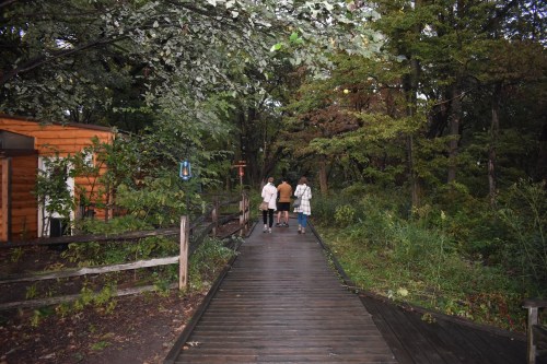 Three people walking along a wooden path through a lush, green forest with trees and a cabin nearby.