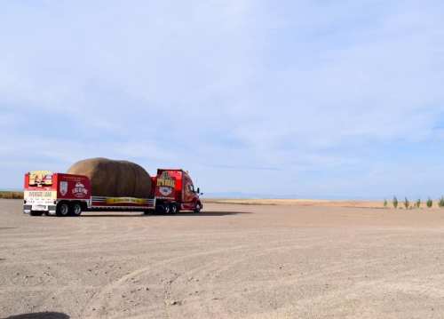 A large truck with a trailer carrying a giant pumpkin drives across a barren landscape under a blue sky.