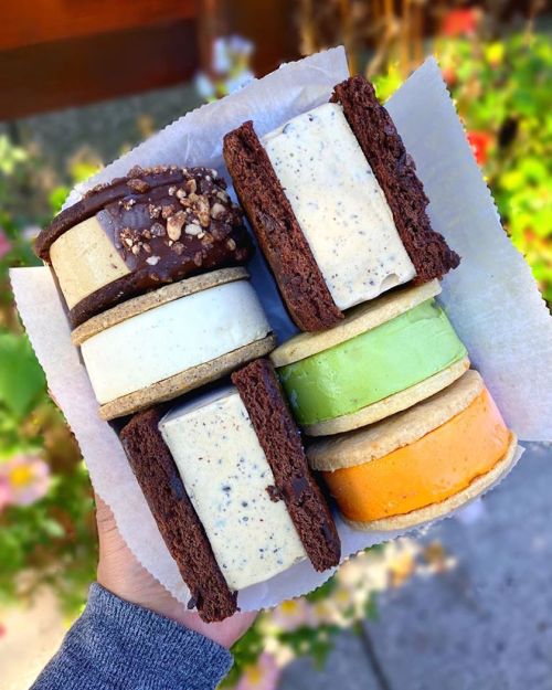 A hand holding a tray of colorful ice cream sandwiches with various flavors and cookie types, set against a floral background.