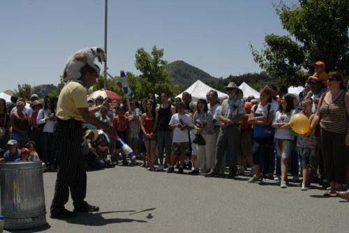A juggler performs for a crowd at an outdoor event, with a dog balancing on his head. Tents and trees are in the background.