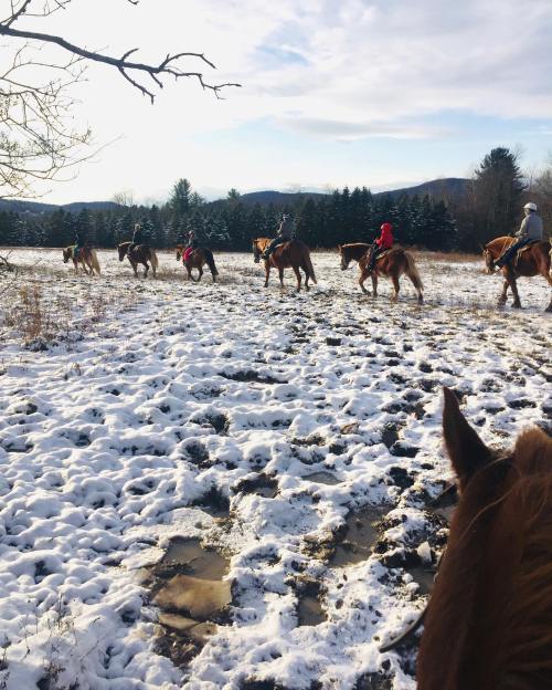 A group of horseback riders traverses a snowy field with mountains in the background on a sunny day.