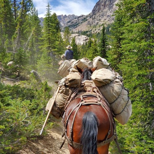 A horse carries large packs along a forested trail, with mountains visible in the background and a person riding ahead.