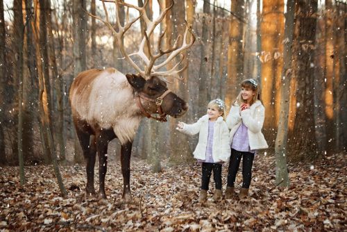 Two girls in winter coats interact with a reindeer in a snowy forest setting.