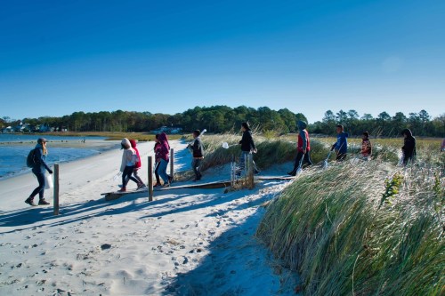 A group of people walking along a sandy beach with tall grass and trees in the background under a clear blue sky.
