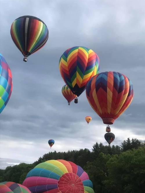Colorful hot air balloons ascend against a cloudy sky, surrounded by green trees.