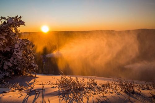 A golden sunrise over a snowy landscape, with mist rising and trees silhouetted against the warm light.