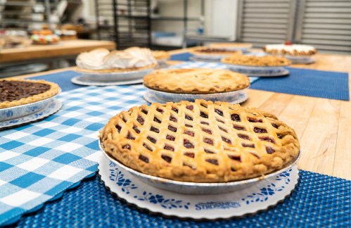 A variety of freshly baked pies on a wooden table, with a blue checkered cloth underneath.