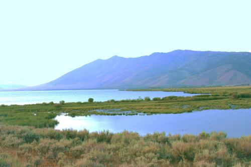 A serene lake surrounded by lush greenery and mountains in the background under a soft, hazy sky.