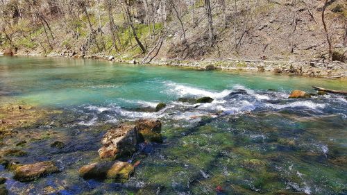 A clear, flowing river with rocks and greenery along the banks, surrounded by trees in a serene natural setting.