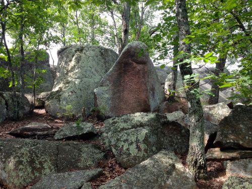 A rocky landscape with large boulders and trees, surrounded by green foliage and scattered leaves on the ground.