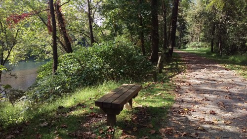 A peaceful path beside a river, lined with trees and a wooden bench, surrounded by fallen leaves.