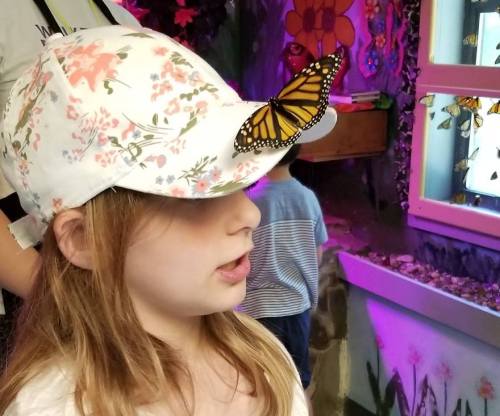 A girl with a floral cap has a butterfly perched on the brim, surrounded by colorful decorations and other children.