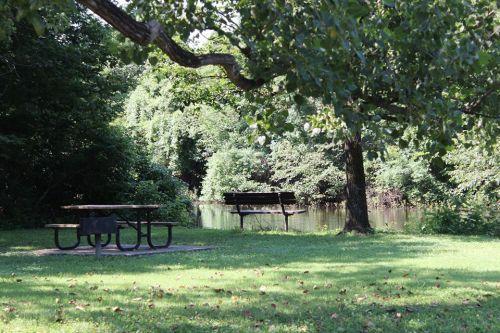 A peaceful park scene featuring a picnic table, a bench, and a serene pond surrounded by lush greenery.