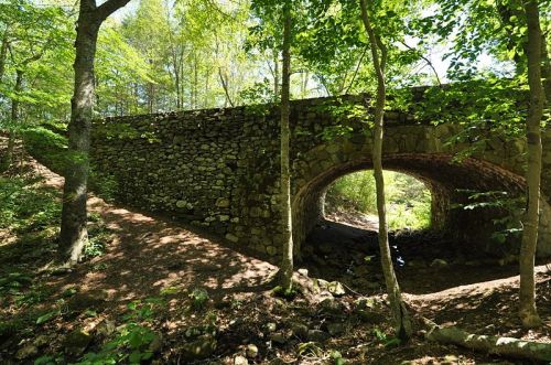 A stone bridge arches over a small stream, surrounded by lush green trees and dappled sunlight in a forest.